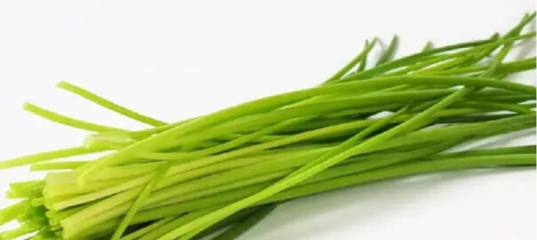 Chives-caserola-100g