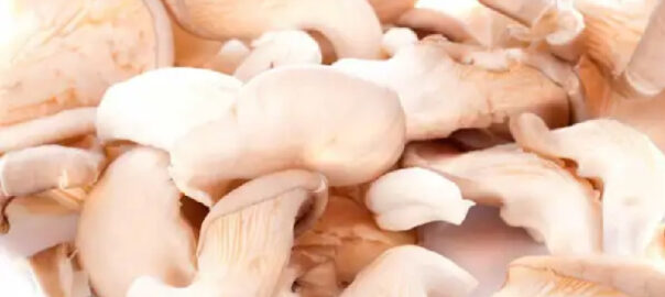 Ciuperci-Pleurotus–caserola-500g