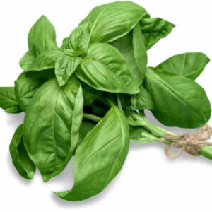 busuioc-import-100g
