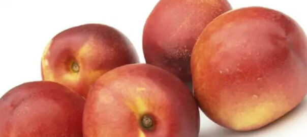 nectarine-import-grecia-1kg