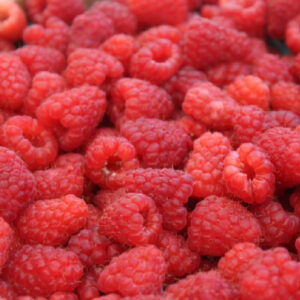 zmeura-import-caserola-125g